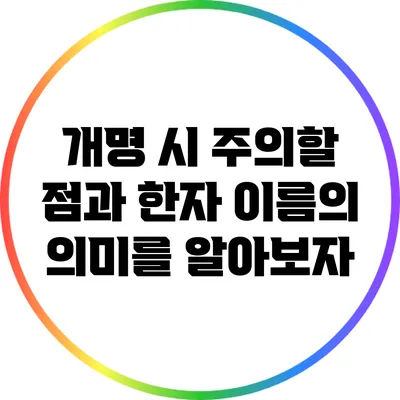 개명 시 주의할 점과 한자 이름의 의미를 알아보자