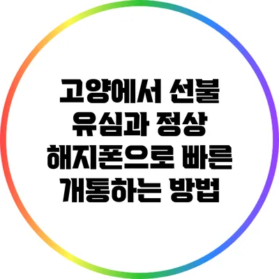 고양에서 선불 유심과 정상 해지폰으로 빠른 개통하는 방법