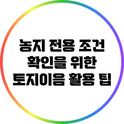 농지 전용 조건 확인을 위한 토지이음 활용 팁
