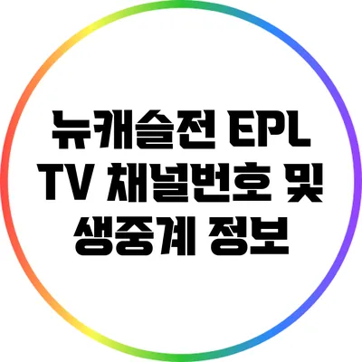 뉴캐슬전 EPL TV 채널번호 및 생중계 정보