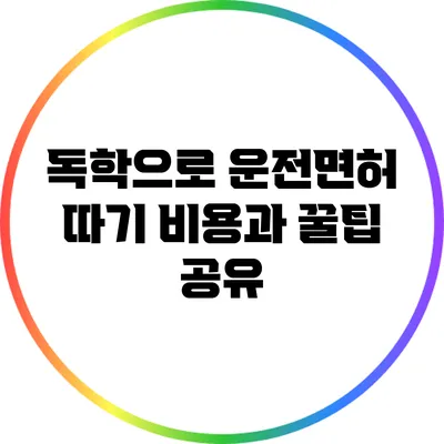 독학으로 운전면허 따기: 비용과 꿀팁 공유
