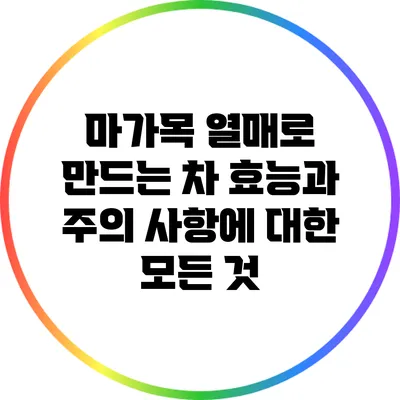 마가목 열매로 만드는 차: 효능과 주의 사항에 대한 모든 것