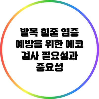 발목 힘줄 염증 예방을 위한 에코 검사 필요성과 중요성