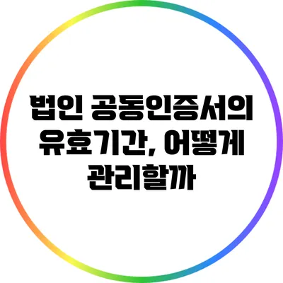 법인 공동인증서의 유효기간, 어떻게 관리할까?