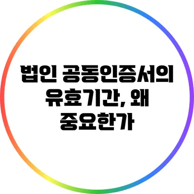 법인 공동인증서의 유효기간, 왜 중요한가?