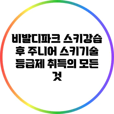 비발디파크 스키강습 후 주니어 스키기술 등급제 취득의 모든 것