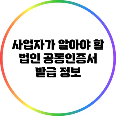 사업자가 알아야 할 법인 공동인증서 발급 정보