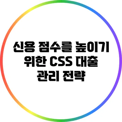 신용 점수를 높이기 위한 CSS 대출 관리 전략