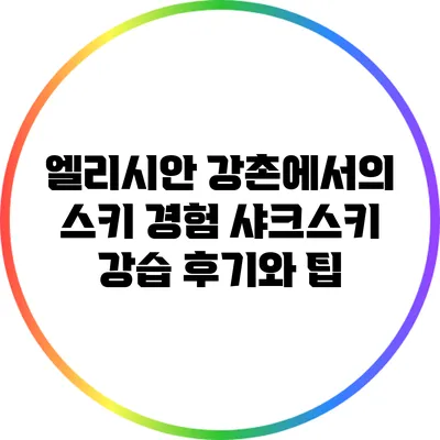 엘리시안 강촌에서의 스키 경험: 샤크스키 강습 후기와 팁