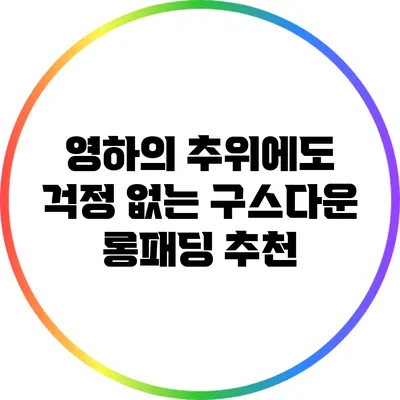 영하의 추위에도 걱정 없는 구스다운 롱패딩 추천