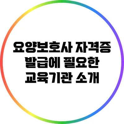 요양보호사 자격증 발급에 필요한 교육기관 소개