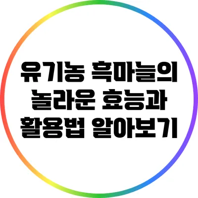 유기농 흑마늘의 놀라운 효능과 활용법 알아보기