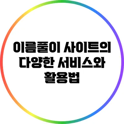 이름풀이 사이트의 다양한 서비스와 활용법