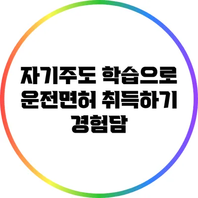 자기주도 학습으로 운전면허 취득하기: 경험담