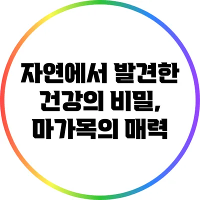 자연에서 발견한 건강의 비밀, 마가목의 매력