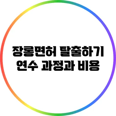 장롱면허 탈출하기: 연수 과정과 비용