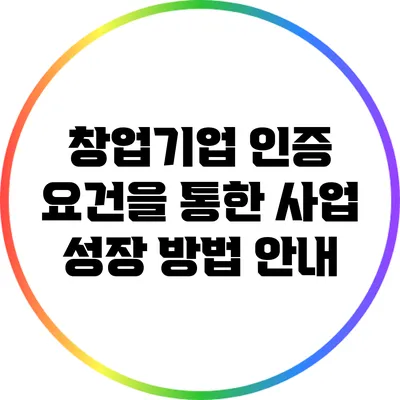 창업기업 인증 요건을 통한 사업 성장 방법 안내