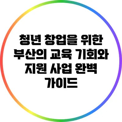 청년 창업을 위한 부산의 교육 기회와 지원 사업 완벽 가이드