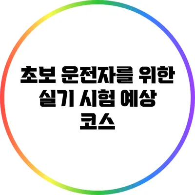초보 운전자를 위한 실기 시험 예상 코스