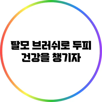 탈모 브러쉬로 두피 건강을 챙기자