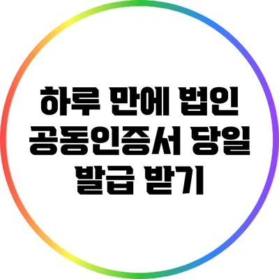 하루 만에 법인 공동인증서 당일 발급 받기