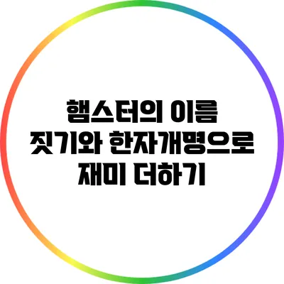 햄스터의 이름 짓기와 한자개명으로 재미 더하기