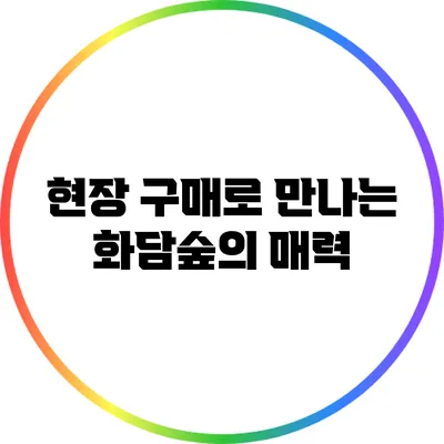 현장 구매로 만나는 화담숲의 매력