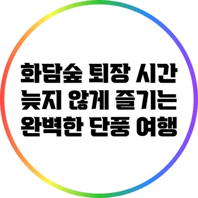 화담숲 퇴장 시간: 늦지 않게 즐기는 완벽한 단풍 여행