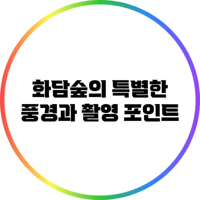 화담숲의 특별한 풍경과 촬영 포인트