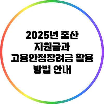2025년 출산 지원금과 고용안정장려금 활용 방법 안내
