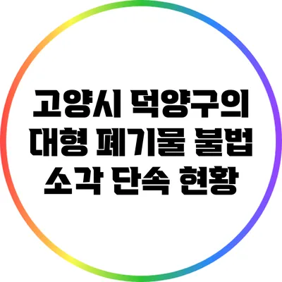 고양시 덕양구의 대형 폐기물 불법 소각 단속 현황