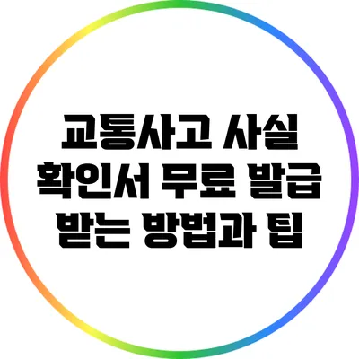교통사고 사실 확인서 무료 발급 받는 방법과 팁