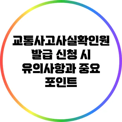 교통사고사실확인원 발급 신청 시 유의사항과 중요 포인트