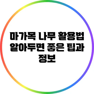 마가목 나무 활용법: 알아두면 좋은 팁과 정보
