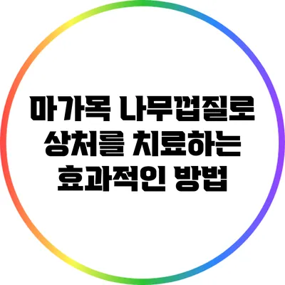 마가목 나무껍질로 상처를 치료하는 효과적인 방법