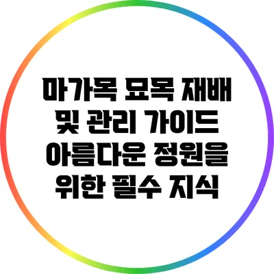 마가목 묘목 재배 및 관리 가이드: 아름다운 정원을 위한 필수 지식