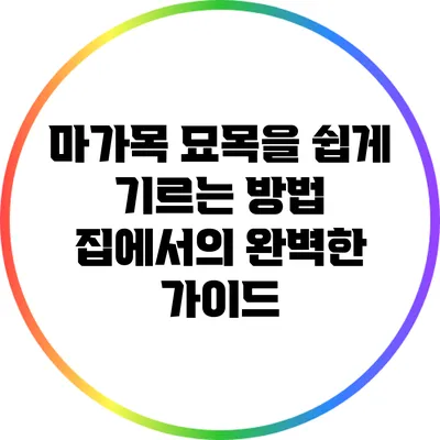 마가목 묘목을 쉽게 기르는 방법: 집에서의 완벽한 가이드