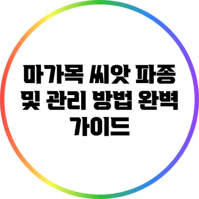 마가목 씨앗 파종 및 관리 방법 완벽 가이드