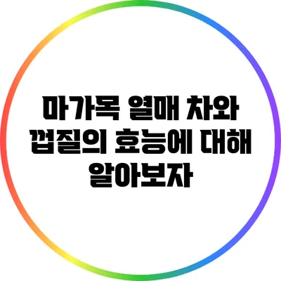 마가목 열매 차와 껍질의 효능에 대해 알아보자
