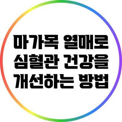 마가목 열매로 심혈관 건강을 개선하는 방법