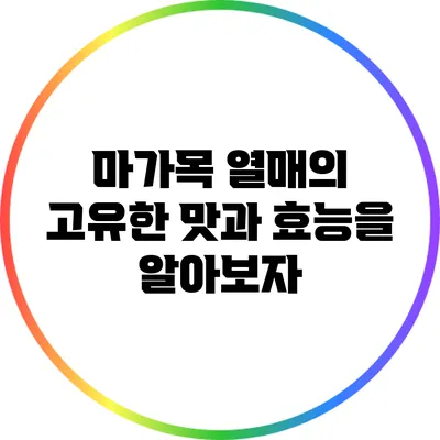마가목 열매의 고유한 맛과 효능을 알아보자