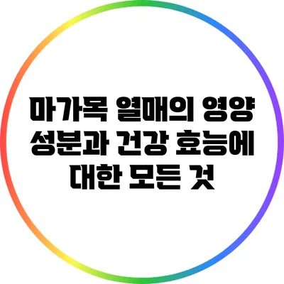 마가목 열매의 영양 성분과 건강 효능에 대한 모든 것