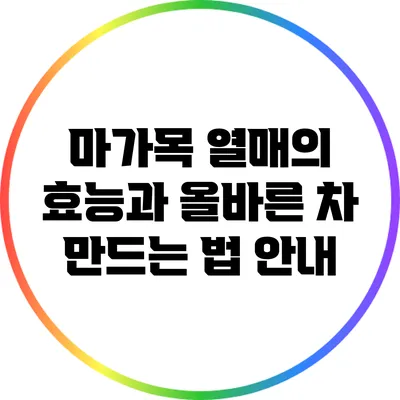 마가목 열매의 효능과 올바른 차 만드는 법 안내