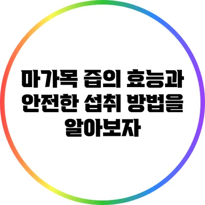 마가목 즙의 효능과 안전한 섭취 방법을 알아보자