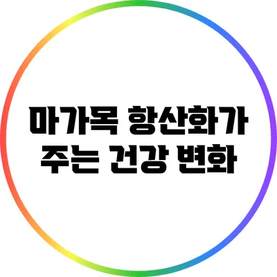 마가목: 항산화가 주는 건강 변화