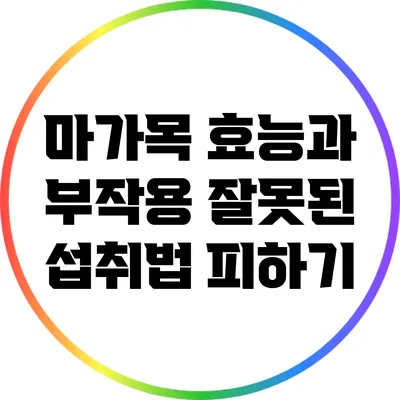 마가목 효능과 부작용: 잘못된 섭취법 피하기
