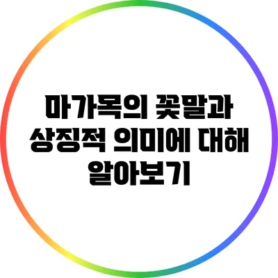 마가목의 꽃말과 상징적 의미에 대해 알아보기