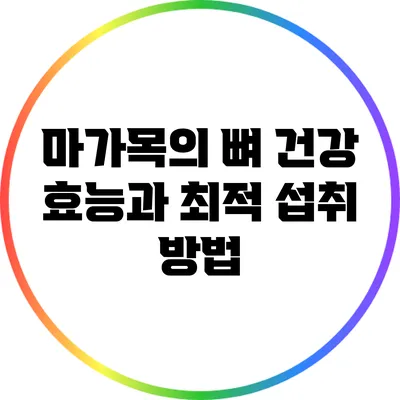 마가목의 뼈 건강 효능과 최적 섭취 방법