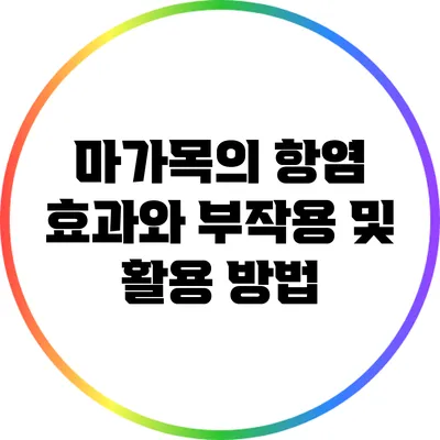 마가목의 항염 효과와 부작용 및 활용 방법
