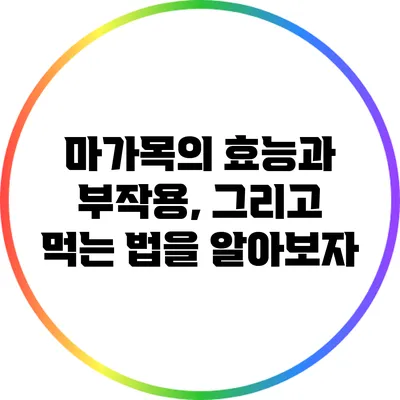 마가목의 효능과 부작용, 그리고 먹는 법을 알아보자
